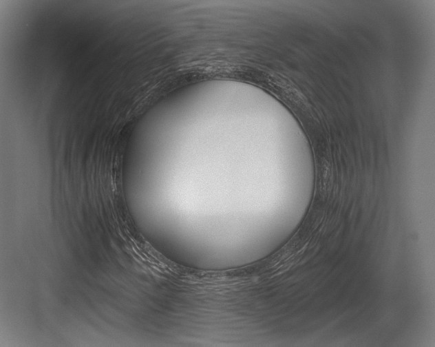 X0000084001250200702160747