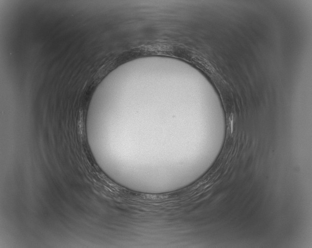X0000084001251200702160747