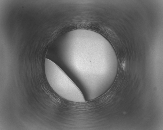 X0000084001252200702160747