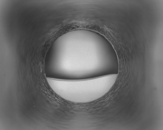 X0000084001253200702160747