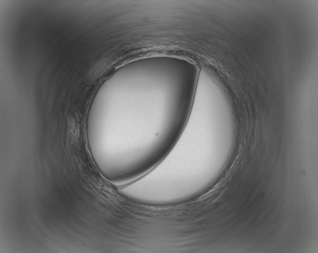 X0000084001257200702160747