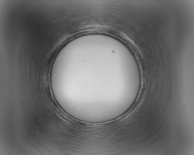 X0000084001259200702160747