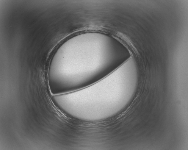 X0000084001260200702160747