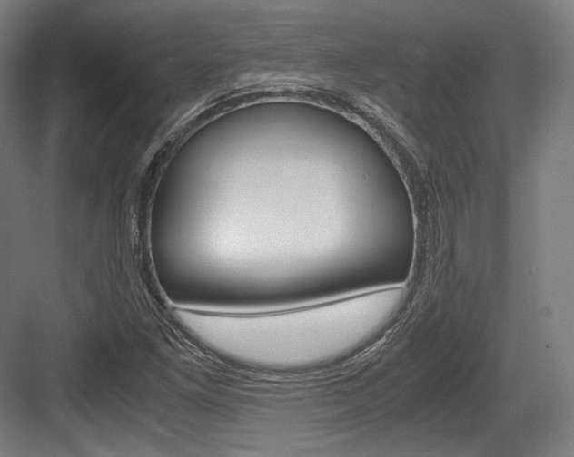 X0000084001261200702160747