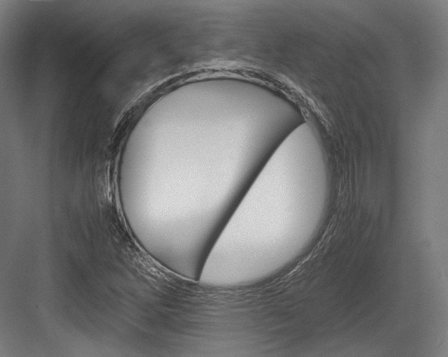 X0000084001262200702160747