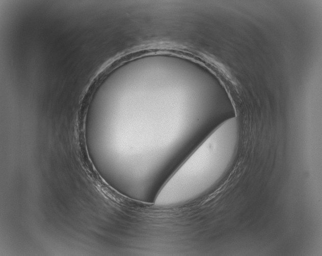X0000084001264200702160747