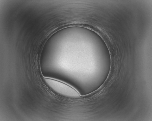 X0000084001265200702160747