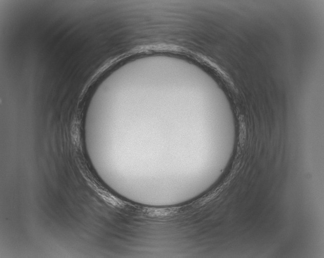 X0000084001266200702160747