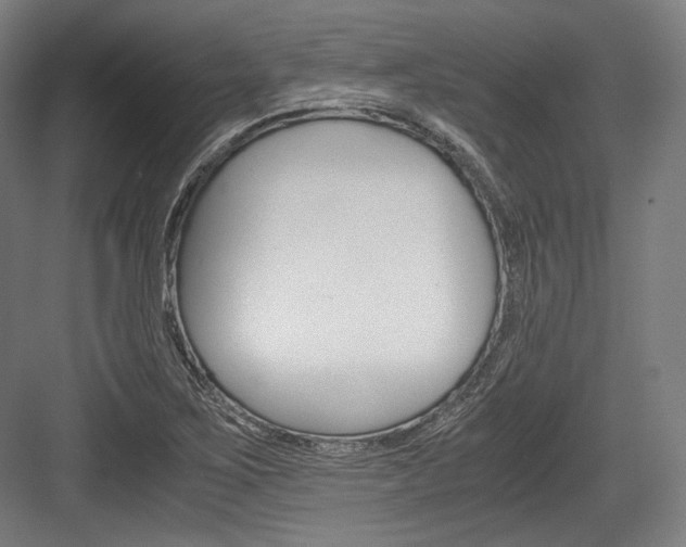 X0000084001267200702160747