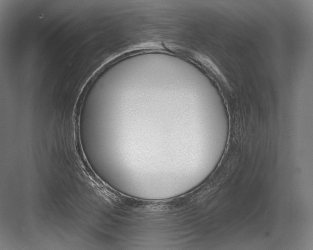 X0000084001268200702160747