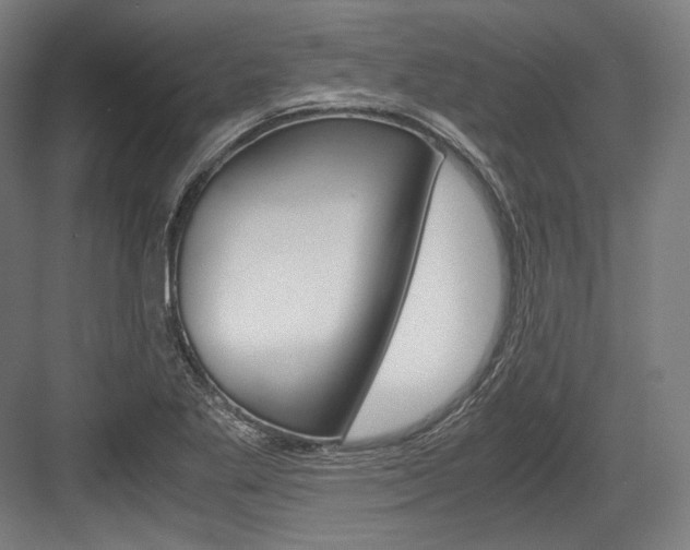 X0000084001269200702160747