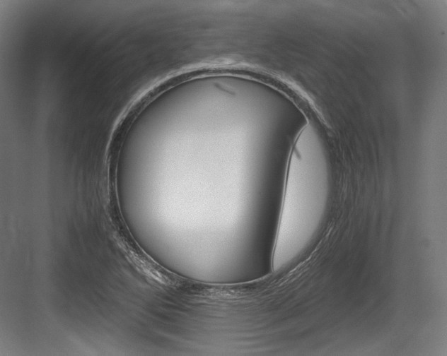 X0000084001270200702160747