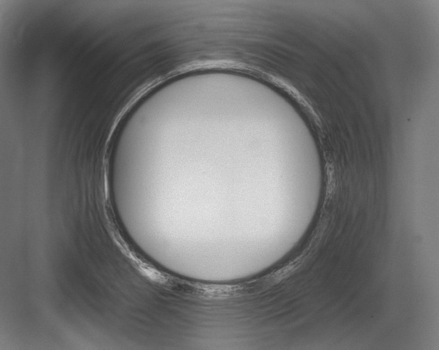X0000084001274200702160747