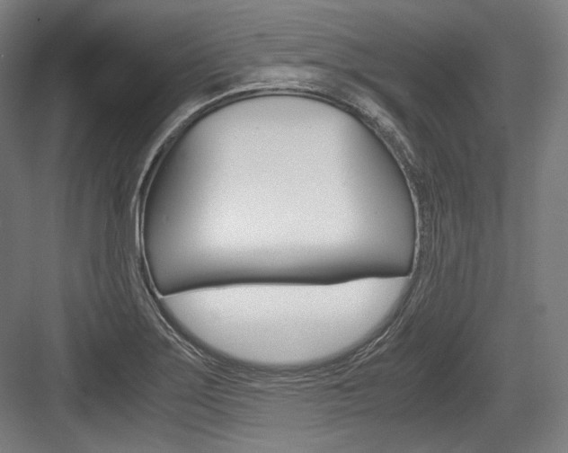 X0000084001275200702160747