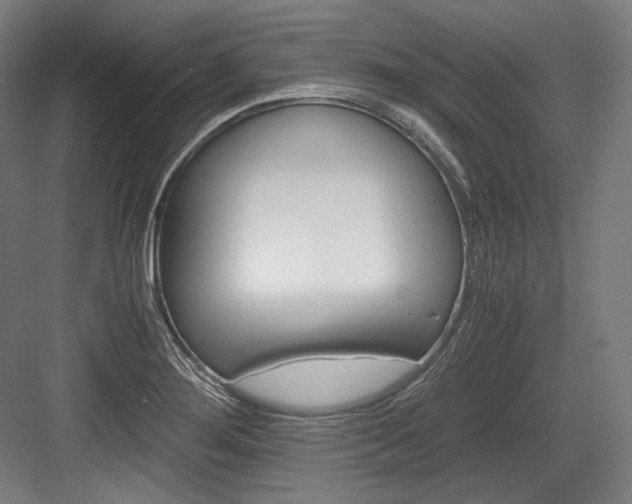 X0000084001276200702160747