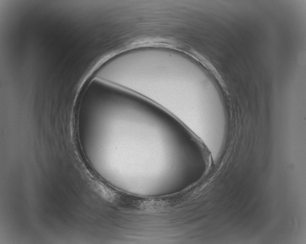 X0000084001277200702160747