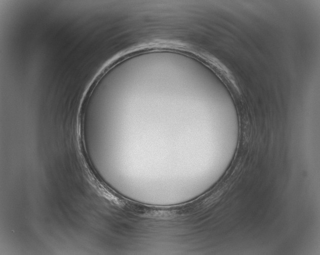 X0000084001280200702160747