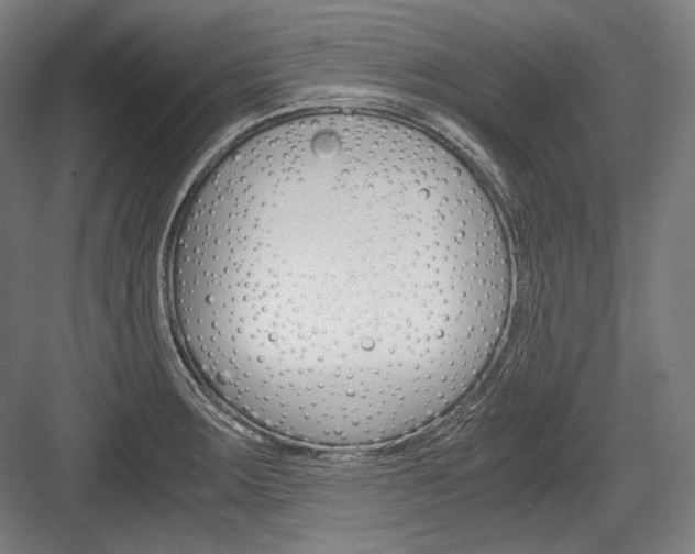 X0000084001283200702160747