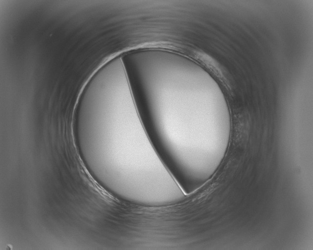X0000084001284200702160747