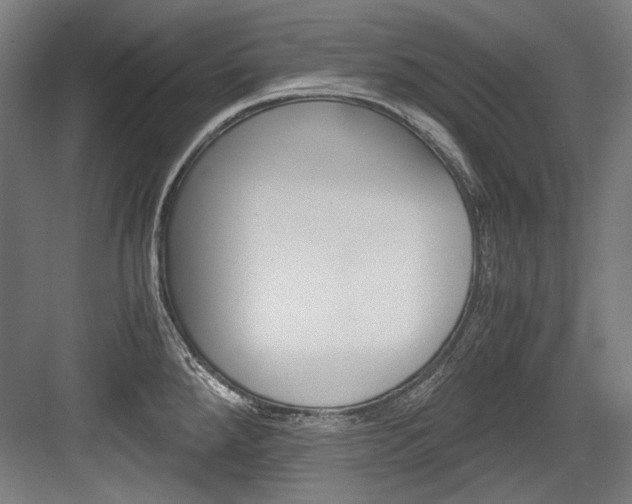 X0000084001288200702160747