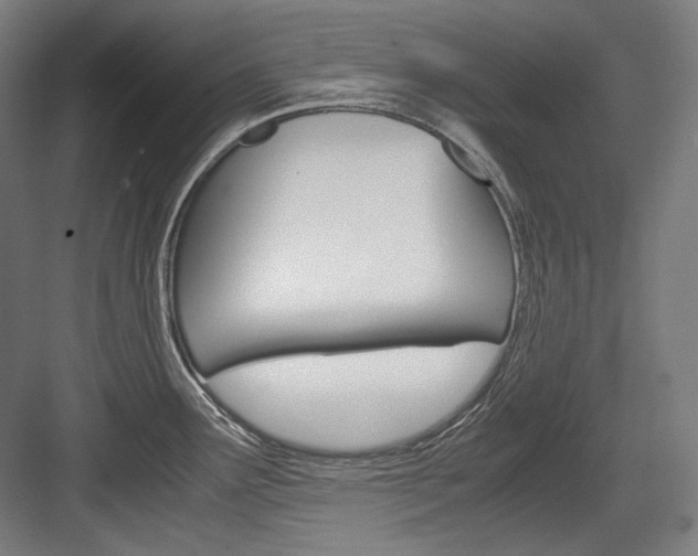 X0000084001291200702160747