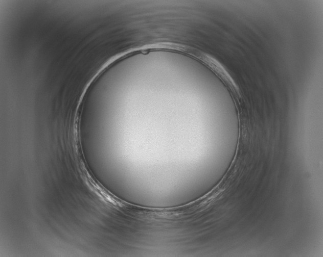 X0000084001292200702160747