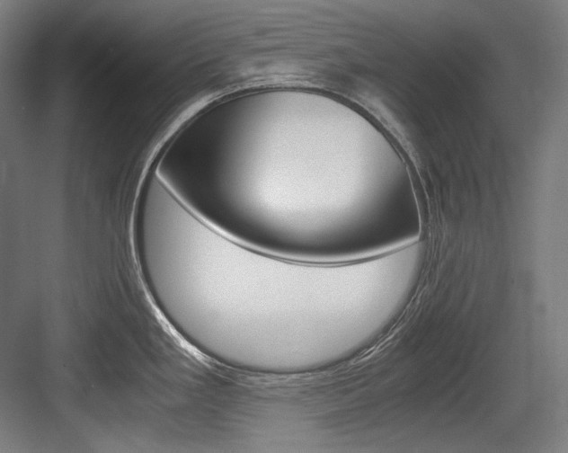 X0000084001293200702160747