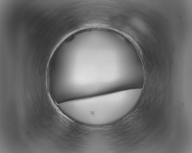 X0000084001295200702160747
