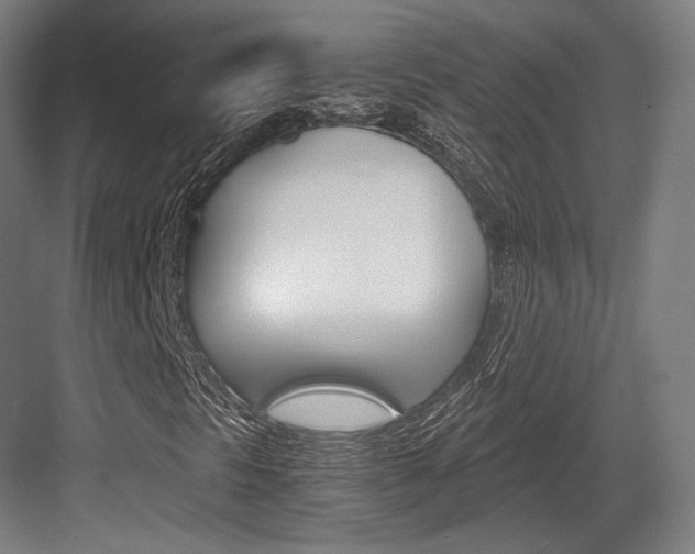 X0000084001297200702160746
