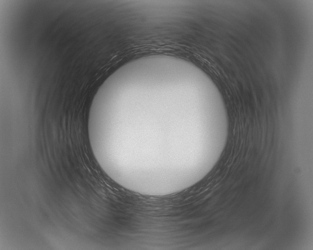 X0000084001298200702160746