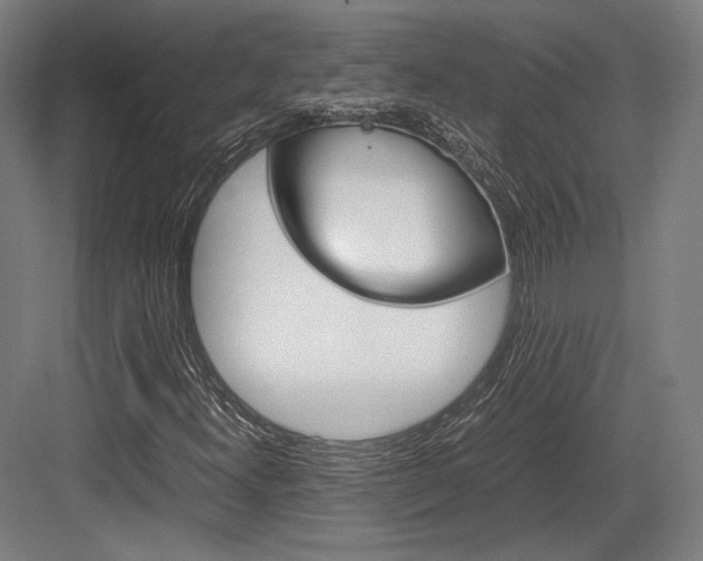 X0000084001300200702160746