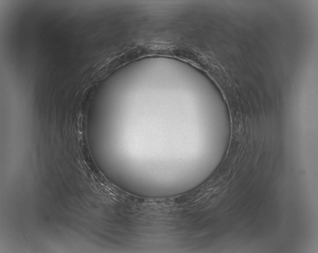 X0000084001301200702160746