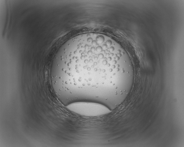 X0000084001302200702160746