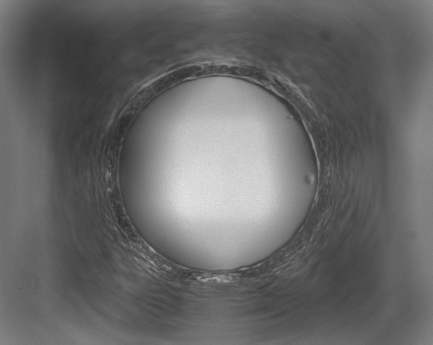 X0000084001303200702160746