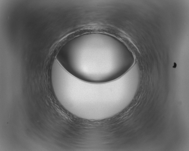 X0000084001304200702160746