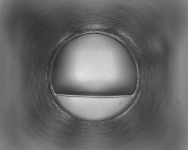 X0000084001305200702160746