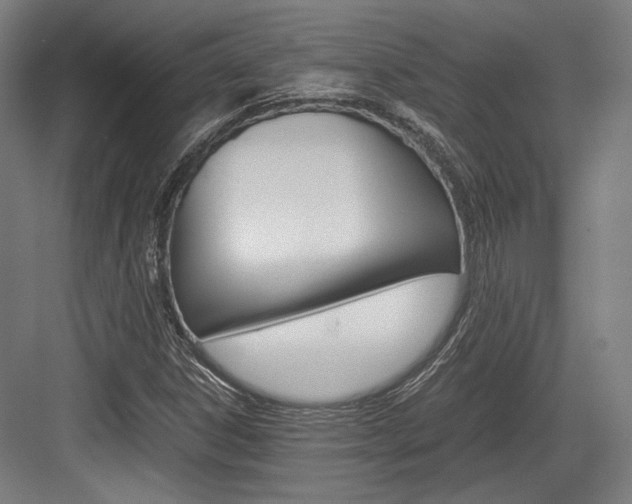X0000084001306200702160746