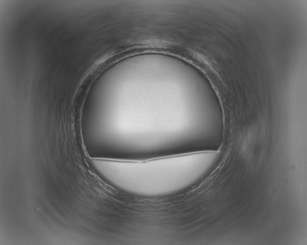 X0000084001307200702160746