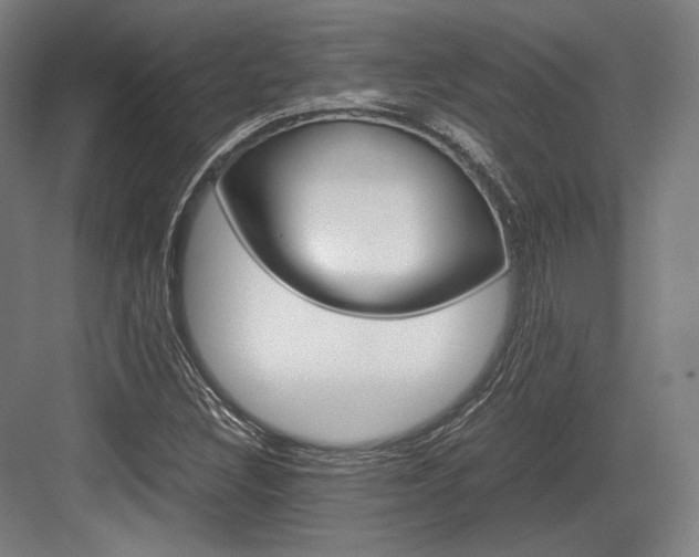 X0000084001308200702160746