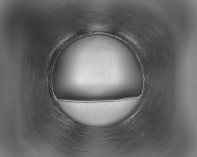X0000084001309200702160746