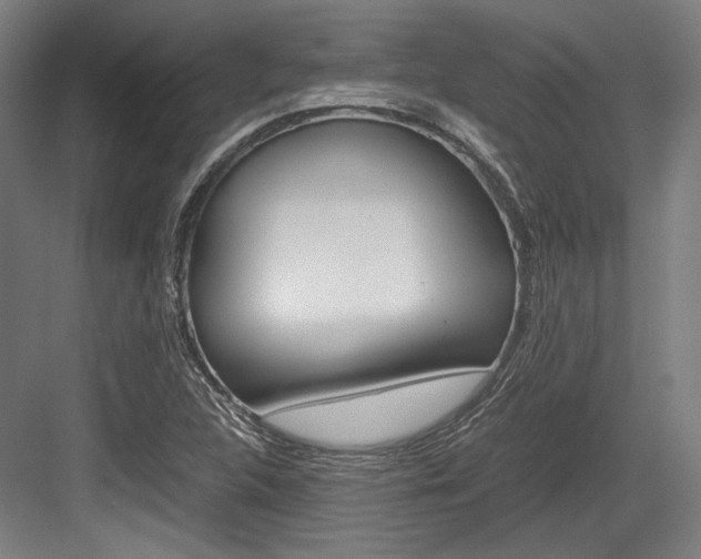 X0000084001312200702160746