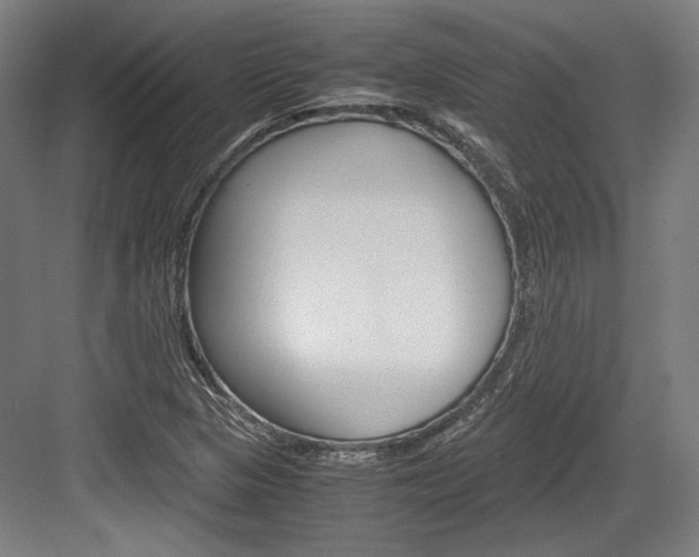 X0000084001313200702160746