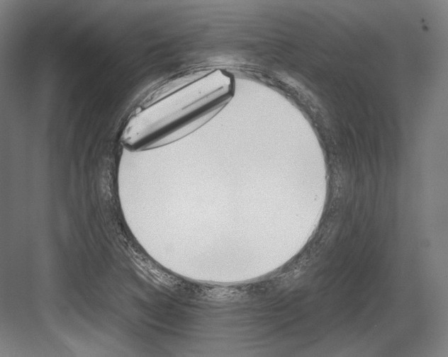 X0000084001314200702160746