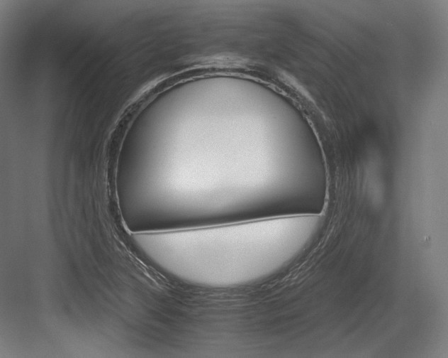 X0000084001315200702160746