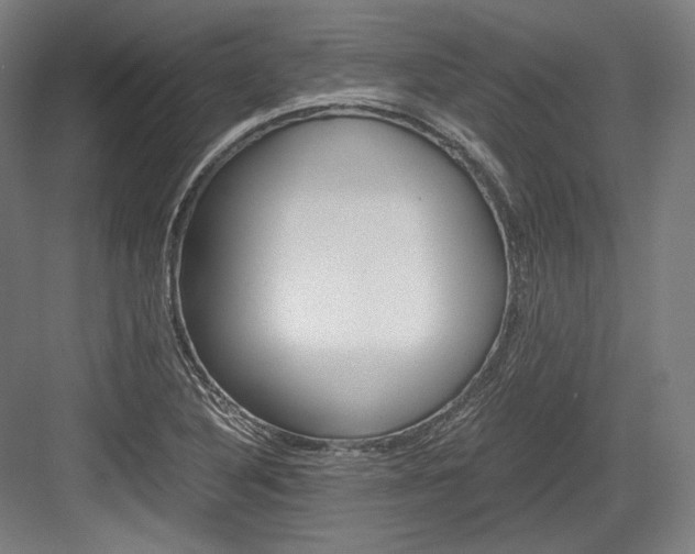 X0000084001316200702160746