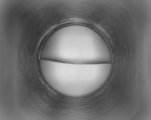 X0000084001318200702160746
