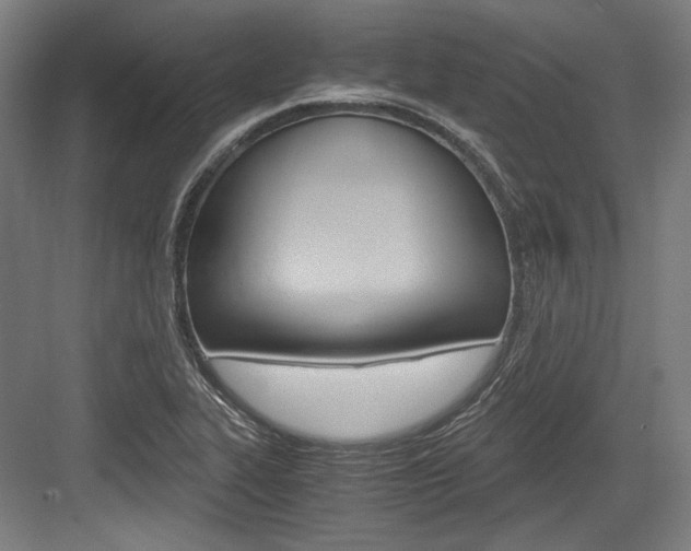 X0000084001319200702160746