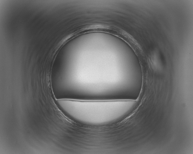 X0000084001321200702160746