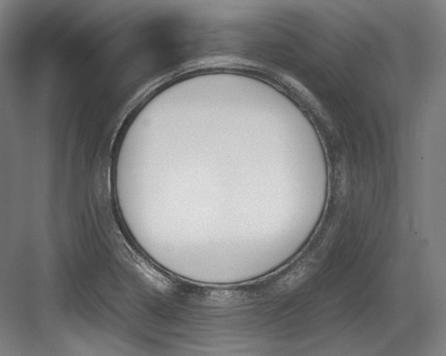 X0000084001322200702160746