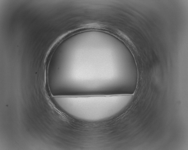 X0000084001323200702160746